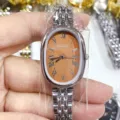 Vue détaillée de montre quartz pour femme avec cadran ovale, chiffres romains et bracelet acier. - Boîtier Argenté Cadran Marron