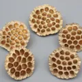 Goldene getrocknete Lotussamenkappen dekorative natürliche Blumenarrangements Heimdekoration 5er - Künstliche Lotuskapsel
