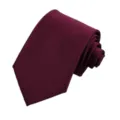 Cravatta da uomo bordeaux classica arrotolata ordinatamente, cravatta elegante da lavoro. - Borgogna