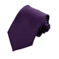 Cravatta da uomo viola elegante, cravatta formale da lavoro in stile variante classica. - Viola scuro