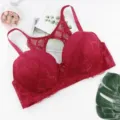 Damen Übergröße Push up Spitzen-BH sexy komfortabel Bügel versammeln Unterwäsche weinrot Variante - 40/90E / Oberteile / Rot