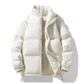 Uomo inverno spessa calda piumino bianco collo alto casual cappotto soprabito invernale - Bianco avorio