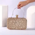 Bolso de mano dorado de diamantes de imitación para fiesta boda vestido elegante - Champán