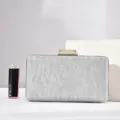 Sac de soirée scintillant argenté pour femme, pochette rigide élégante pour fête. - 19x12x5cm / Argent