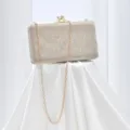 Elegant shimmering evening clutch bag with metallic chain strap and crystal clasp detail. - Gold