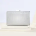 Silver glitter evening clutch bag with metallic clasp closure for women party detail view. - Silver