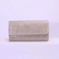 Sparkly champagne clutch bag detail shot, elegant evening purse for women banquets qipao. - 20x6x10cm / Champagne