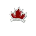 Vue détaillée d'une broche élégante en émail métallique en forme de feuille d'érable. - 362-1 (Feuille d'Érable)
