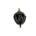 Broche badge vétéran scorpion épée bouclier métal, accessoire style militaire unique - 362-3 (Bouclier Scorpion)