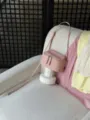 Minimalist pink genuine leather mini crossbody bag for women, stylish daily shoulder vanity bag. - Pink