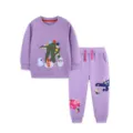 Girls Cute Purple Dinosaur Applique Long Sleeve Sweatshirt and Sweatpants Set Variant - 2Y(90) / Top And Bottom / Purple