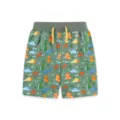 Boys dinosaur print cotton shorts summer kids casual knit sports trousers comfortable - 2Y(90cm) / Bottoms / Green Dinosaur Print