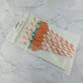 Disposable paper drinking straws with orange fruit decoration for party supplies and drinks. - 6*197mm / Orange Stripe + Orange