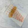 Disposable paper drinking straws with fruit slice decorations for party and juice drinks. - 6*197mm / Orange Stripe + Citrus