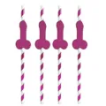 Bachelorette party paper straws, pink glitter novelty drinking straws for birthday. - Rose Red Striped Bone 10 Pcs