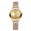 Elegant rose gold mesh strap women quartz watch with Roman numerals and date display. - Mesh Band Women-Roman Gold Dial