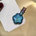 PETITE PINCE À CHEVEUX STRASS EN ÉTOILE DOUCE PINCE BEC DE CANARD POUR FILLE VUE DÉTAILLÉE - Bleu