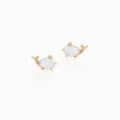 Elegante vergoldete süße Wal Ohrstecker mit Opal Stein und funkelnden Zirkonia für Damen. - Stil 4 Wal (Goldfarben) / Stärke 0.8mm Länge 6mm
