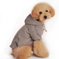 Comoda felpa con cappuccio in pile per cani con tasca grigia, abbigliamento autunno inverno. - XS / Grigio