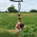 Ciondolo artigianale in baccello di semi naturali, vista dettagliata di decoro vegetale. - Q-B3