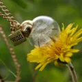 Natural real dandelion glass ball necklace forest style wishing bottle pendant jewelry with tag - Yellow