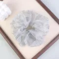 Primo piano dettagliato di un elastico per capelli grigio trasparente con pois discreti. - Grigio Trasparente