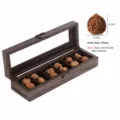 Caja de almacenamiento de madera de 6 compartimentos para nueces con tapa de cristal y cierre. - Seis Ranuras Rectangular
