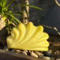 Gelbe Acryl Flügel Schale Abend Clutch Tasche Detailansicht, schickes Nischen-Design Handtasche. - Gelb