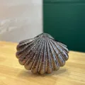 Detailansicht einer metallic schalenförmigen Acryl-Abendtasche mit strukturierter Oberfläche. - Dunkelgrau