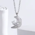 Dettaglio in primo piano della collana con ciondolo a luna sorridente in argento zircone. - Luna / Oro bianco