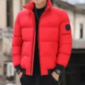 Herren Winter dicke Pufferjacke rot Stehkragen Freizeit warme kurze Oberbekleidung - M / Oberteile / Rot