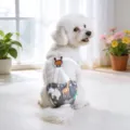 Bragas higiénicas lavables para perros con tirantes ajustables y estampado animal para mascotas. - S / Gris