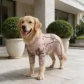 Snake Print Dog Jumpsuit Four Legged Pet Clothes for Golden Retriever Medium Large Dogs - S / Snake Print