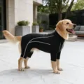 Black four-leg dog jumpsuit for large dogs golden retriever pet clothes breathable outfit - Black