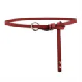 Red women thin leather belt with gold round buckle stylish minimalist dress waist accessory variant - Rivet Style / Red