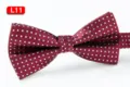 Bordeauxrote geometrische Polyester Fliege, stilvolle Herren Hochzeits Fliege Variante. - L11