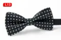 Schwarze Herren Fliege mit weißen Punkten aus Polyester, klassischer geometrischer Hochzeitshals. - L13