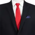 Men's formal red business zipper tie with jacquard pattern matching suit and shirt style. - STJ107