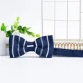 Klassische blau-weiße gestreifte Herren-Strickfliege für formelle Anlässe und Alltag. - Blau und Weiß Gestreift (ZZLJ03)