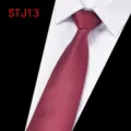 Men's Classic Burgundy Jacquard Tie Formal Business Necktie with Shirt Collar Display - Burgundy Twill (STJ13)
