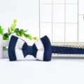 Men's knitted striped bow tie, stylish blue and white design for formal wear and parties. - Blue and White Stripes (ZZLJ07)