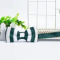 Green and white striped knitted bow tie for men, stylish variant collar accessory. - Green and White Stripes (ZZLJ12)