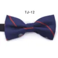 Classic blue striped flat bow tie for men and women, perfect for weddings, parties and business. - TJ12