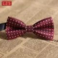 Herren burgunderroter Polyester Pünktchen Fliege, klassische geometrische flache Schleife Hochzeit. - L25