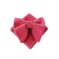 Set papillon e fazzoleto da taschino in velluto rosa accessorio elegante da uomo - Rosa intenso