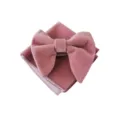 Rosa Samt Fliege und Einstecktuch Set, einfarbige elegante Herren Anzug Accessoires. - Hellrosa