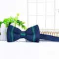 Men's knitted bow tie featuring a stylish dark blue design with vibrant green vertical stripes. - Dark Blue and Green Stripes (ZZLJ21)