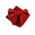 Klassische rote Samt Fliege und Einstecktuch Set für Herren, elegante Hochzeitsaccessoires. - Rot