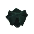 Set papillon e fazzoletto da taschino in velluto verde scuro elegante per uomo formale. - Verde Scuro