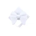 Set papillon e fazzolleto da taschino in velluto bianco, elegante accessorio sposo. - Bianco